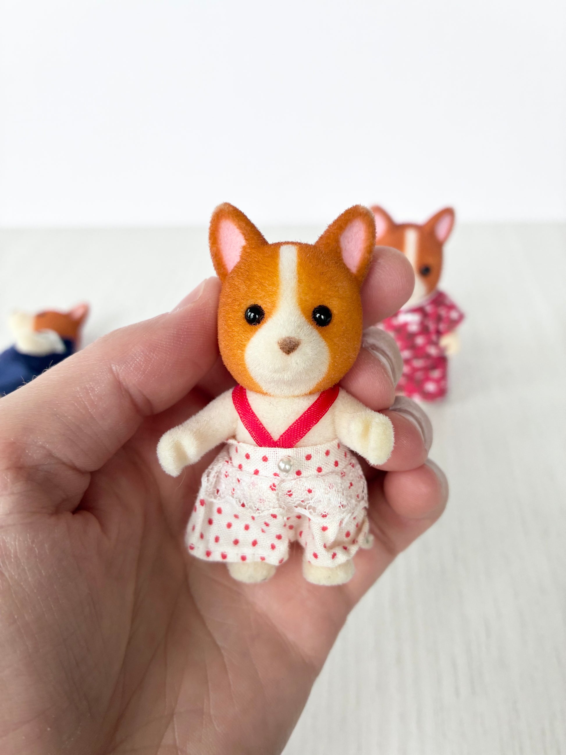 Calico Critters Sylvanian Families corgi child figure in polka dot romper