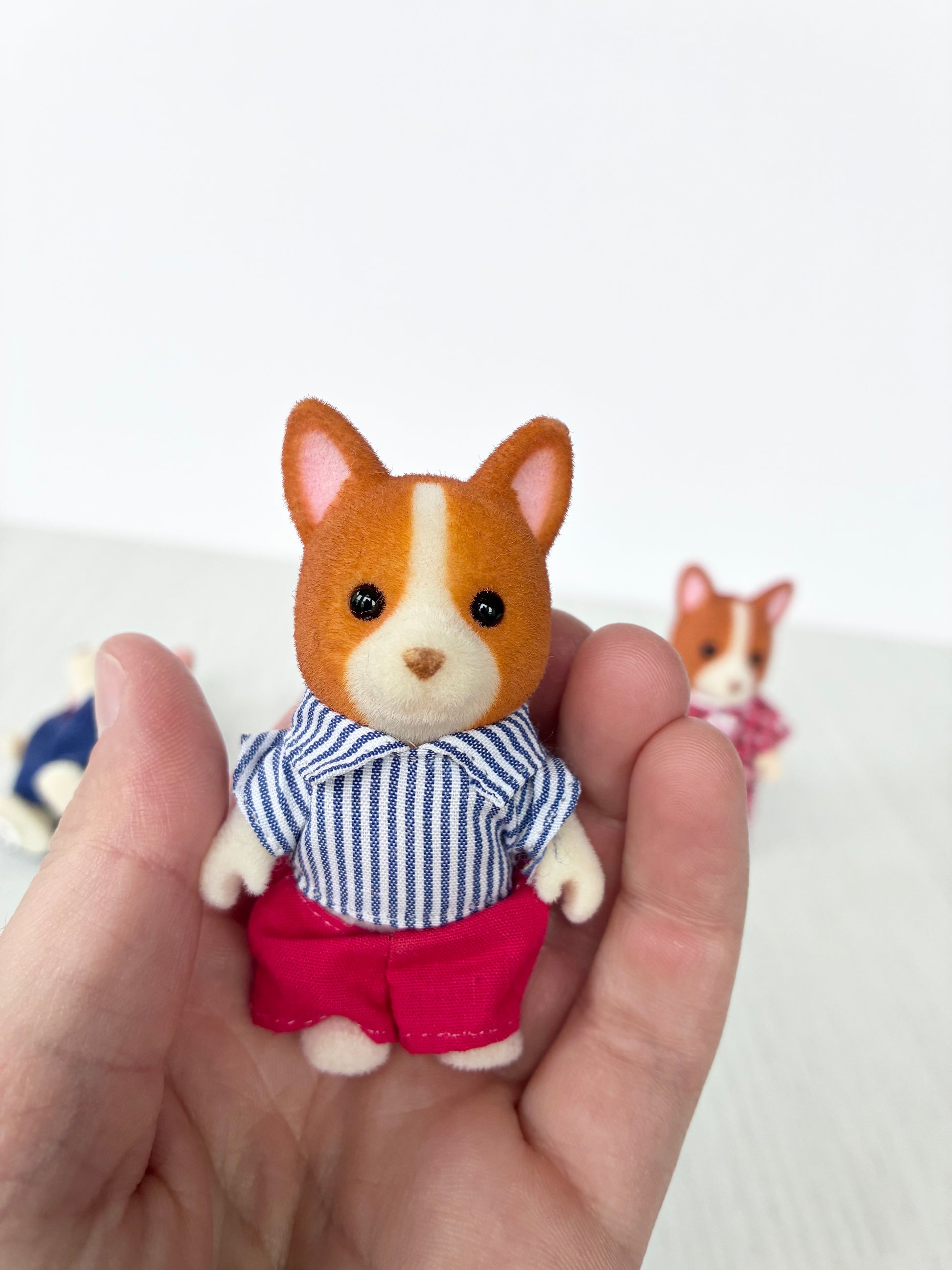Calico Critters Sylvanian Families corgi boy figure in striped shirt and red shorts