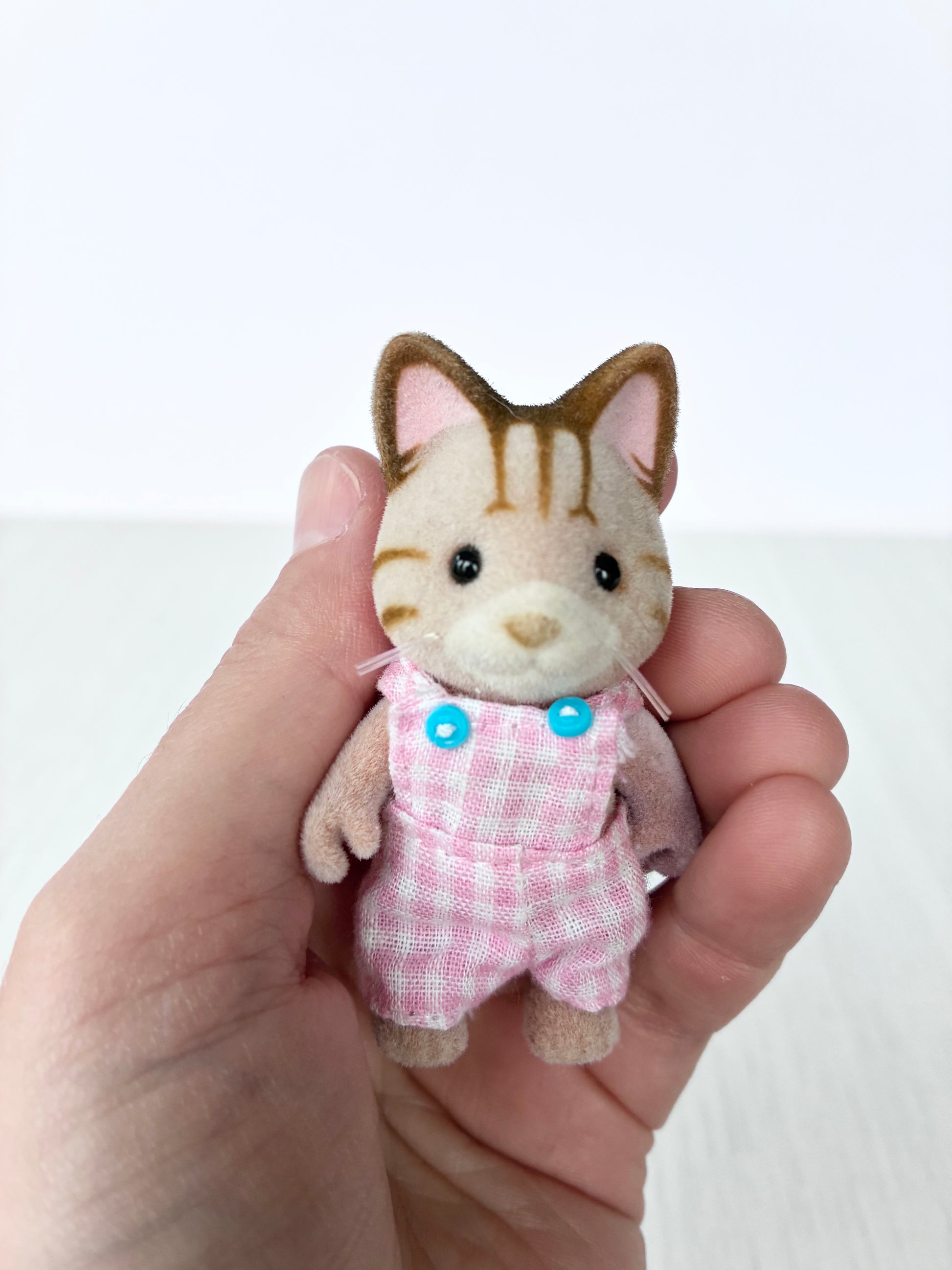 Calico Critters Sylvanian Families tabby cat boy figure, front view
