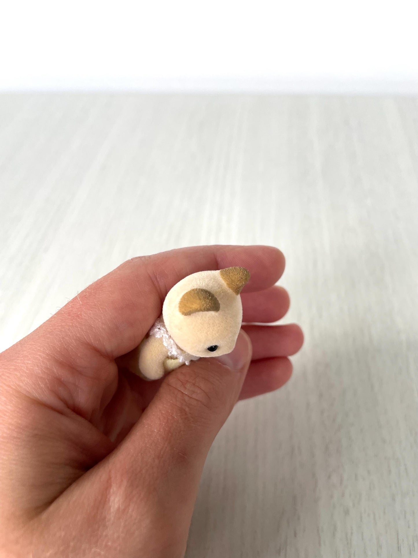 Collectible Keats cream cat baby — Sylvanian Families / Calico Critters