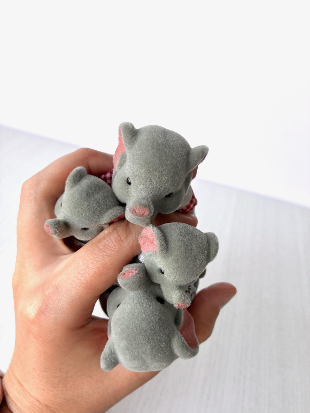 Top view of the four vintage Bärenwald elephant heads showing even flocking with no bald patches