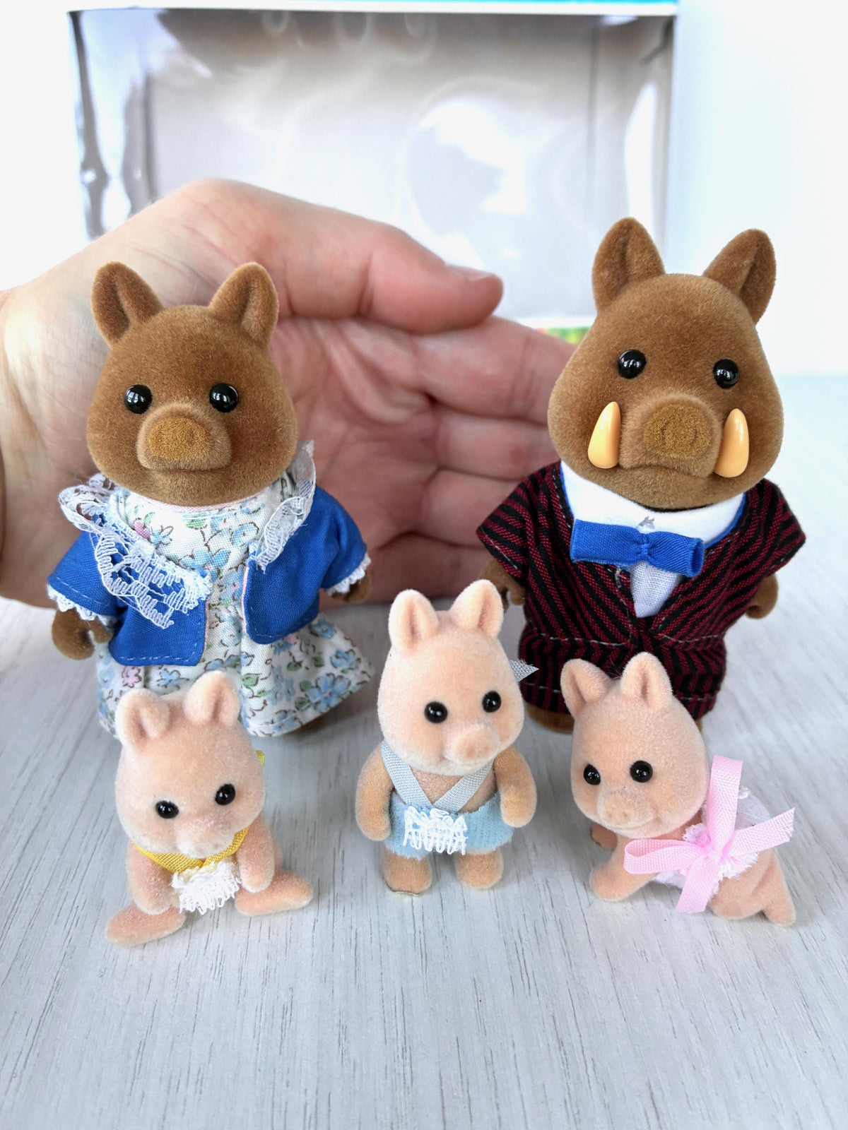 Sylvanian Families Calico Critters Wild Boar Family (Flair, boxed): the family held in hand for scale in front of the box
