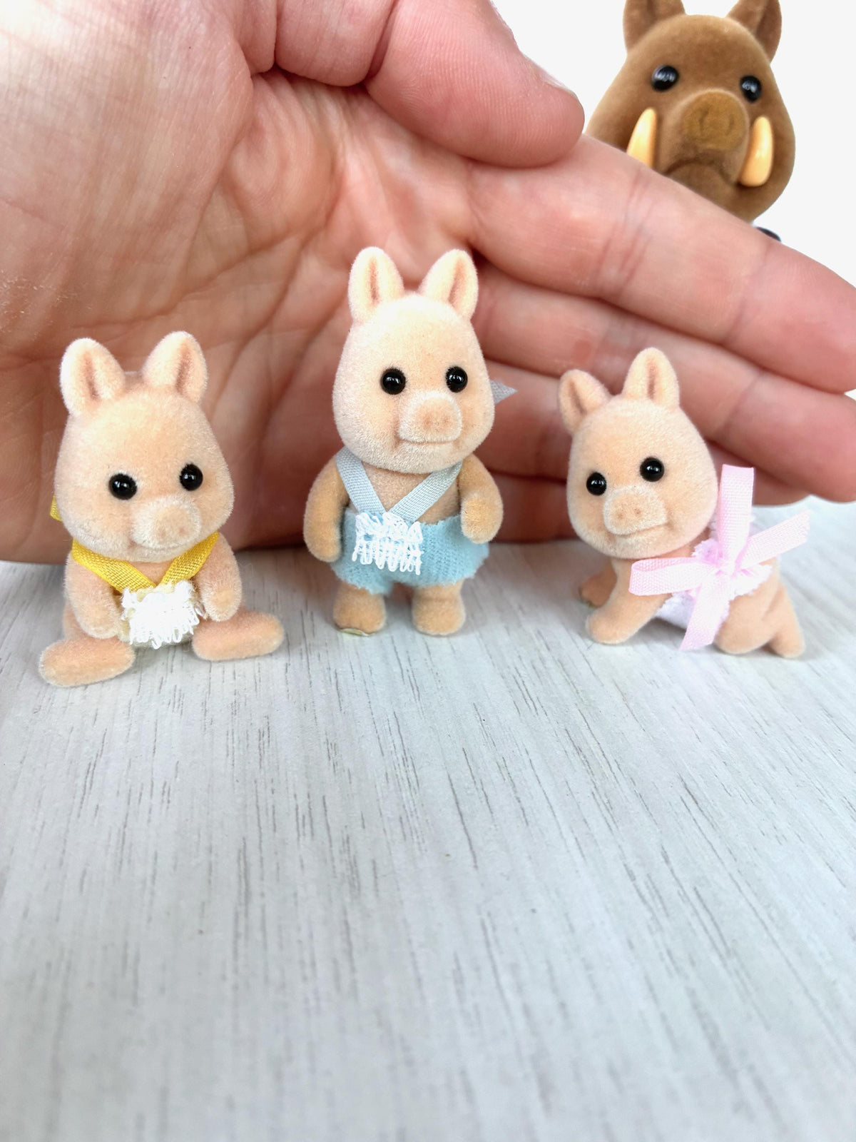 Sylvanian Families Calico Critters Wild Boar Family (Flair, boxed): the three triplet babies in yellow, blue and pink rompers, one crawling