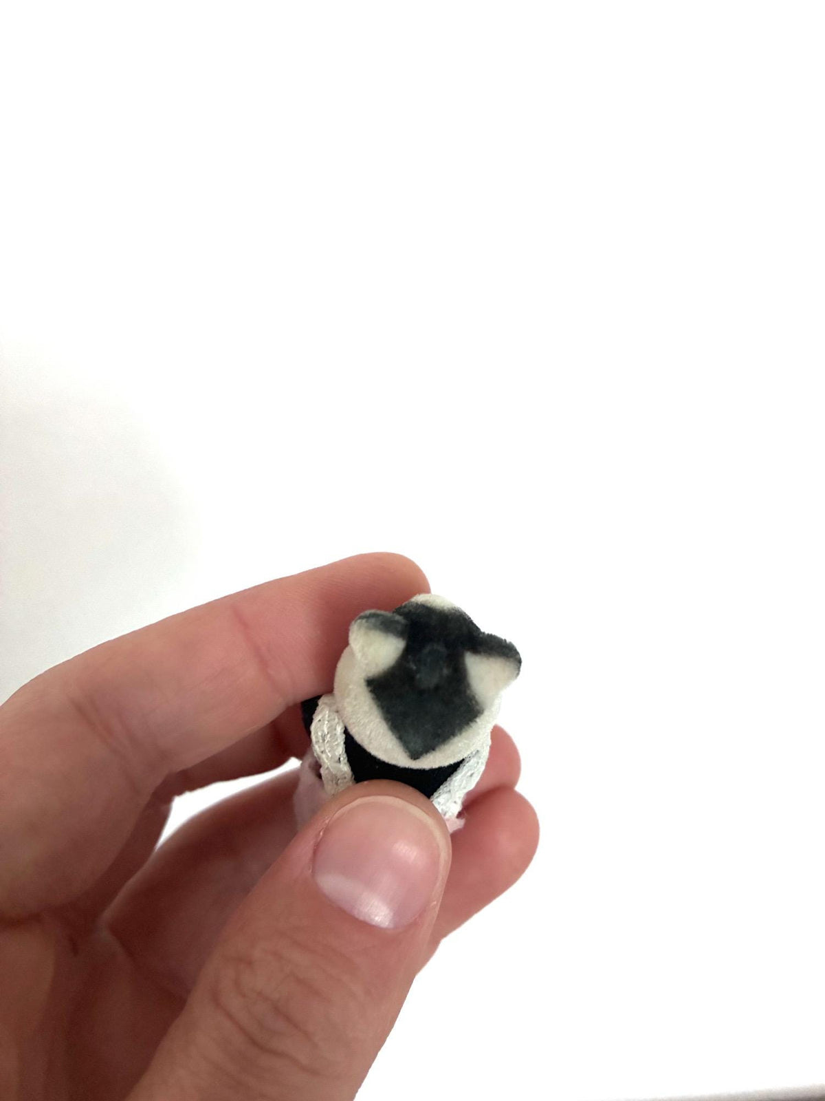 Calico Critters Sylvanian Families badger baby, close up back of head view