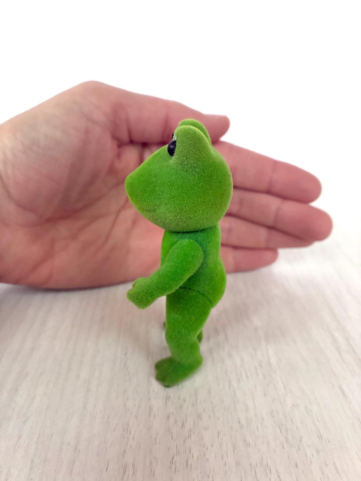 Sylvanian Families Calico Critters Bullrush Frog father, photo 17 of 19